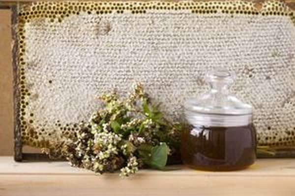 Виды меда Целебные свойства и польза меда